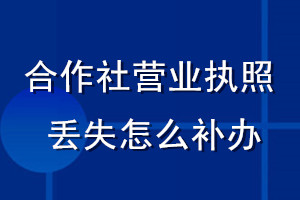 合作社營業(yè)執(zhí)照丟失怎么補(bǔ)辦